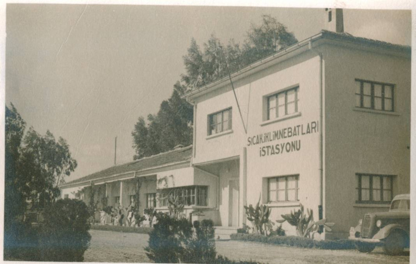 90 yıllık çaba sonuç verdi. Türkiye'ye kahve o ilimizden yayılacak - Fotoğraf: 2